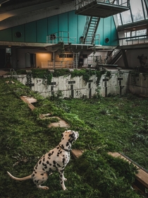 Abandoned pool in Denmark
