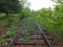 Abandoned Rail Road Tracks In Lansing Michigan