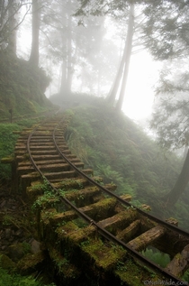 Abandoned railroad in a forest in Taiwan  x-post of a repost from rpics