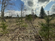 Abandoned railroad tracks 