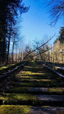 Abandoned Railroad Tracks in Snoqualmie Washington