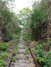 Abandoned Railroad Tracks Pernambuco - Brazil 