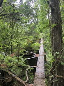 Abandoned railroad trestle found  way down upon the Suwannee River this weekend