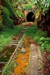 Abandoned Railway and Tunnel in Australia x