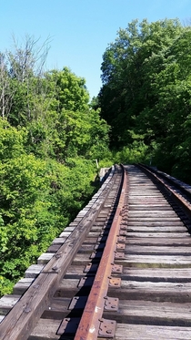 Abandoned Railway Bridge in Ohio OC 