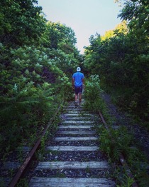Abandoned railway disappearing into the forest Toronto Canada