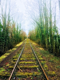 Abandoned railway in France