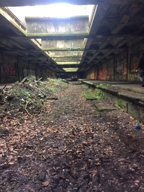 Abandoned railway tunnel I visited a few days ago in Glasgow Scotland Botanic Gardens Railway Station 