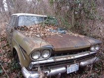 Abandoned Rambler Sedan