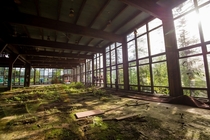 Abandoned resort in the Catskills NY Human for scale    Adam Salberg