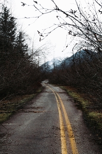 Abandoned road bypassing a landslide 