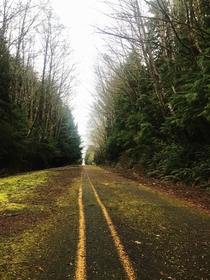 Abandoned road Cape Meares Oregon US