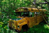 Abandoned school bus in the Catskills upstate NY