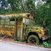 Abandoned school bus on the side of the road