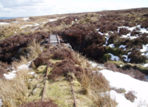 Abandoned Scottish Railway  x 