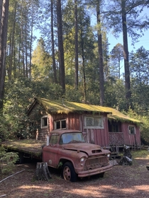 Abandoned Shack in Oregon