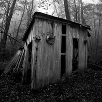 Abandoned shack in Shenandoah National Park Virginia 