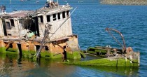 Abandoned Ship - Oregon Coast 