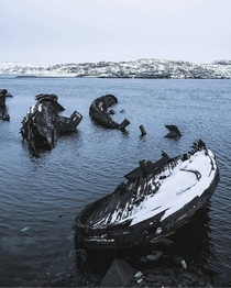 Abandoned ships look like dead whales   