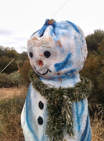 Abandoned snowman far from home Found in Lake King regional Western Australia