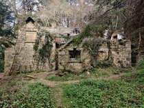 Abandoned stone house in the forest in Ireland