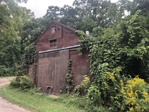Abandoned storage building in Rondeau Provincial Park Ontario