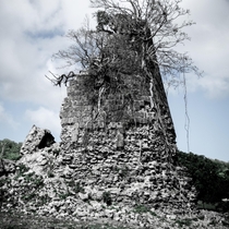 Abandoned sugar mill on the island of Nevis - my shot