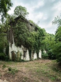 Abandoned th-century Italian mansion enclosed by green wilderness 