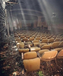 Abandoned theatre that looks like something from the last of us