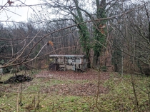 abandoned trailer almost a part of the forest