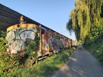 Abandoned train getting consumed by nature