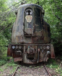 Abandoned Train in NY State -  Cross Posted