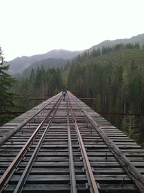 Abandoned train trestle in Washington State Terrifying to walk across because it is so high above the canyon below Read somewhere its the highest train trestle in the US