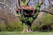 Abandoned Tree House 