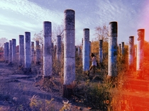 Abandoned unfinished Munitions Plant
