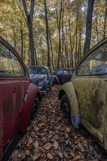 Abandoned Volkswagen Graveyard