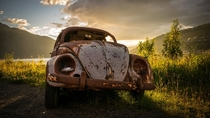 Abandoned VW Beetle by umaruudn
