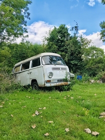 Abandoned VW Combi in my dads garden France