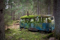 Abandoned VW van in the woods