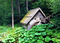 Abandoned watermill Slovenia 