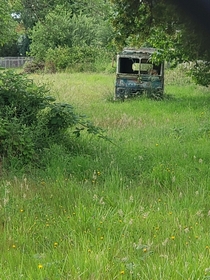 Abandoned work truck at the edge of a wetland near my neighborhood