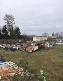 abandoned wrecking yard full of cars from -