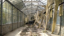 Abandonned green house