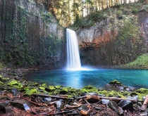 Abiqua Falls Oregon  x