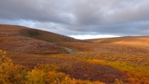 About an hours drive from Nome Alaska - Fall colors in the subarctic tundra  OC
