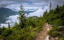 Above the clouds on the Bandera Mountain Trail Washington state 