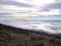 Above the clouds on the road up to the Haleakala Summit Maui Hawaii 