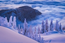 Above the clouds on the summit of Mt Seymour British Columbia Canada  Photo by Adam Gibbs xpost from rTrueNorthPictures