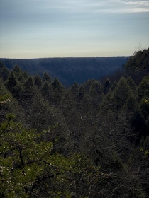 above the tree-line Jasper TN 