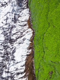 Abstract landscape - a glacier reaching out to green moss in Iceland  - more of my abstract landscapes on insta glacionaut